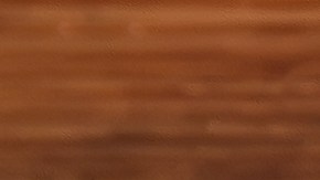 Muslos de pollo a la plancha con ajo y perejil