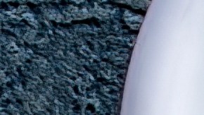 Halibut con limón y cilantro al vapor