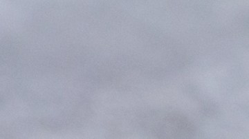 Halibut en papillote con verduras