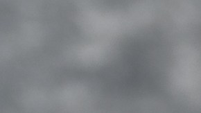 Muslos de pollo a la cazuela con vino blanco