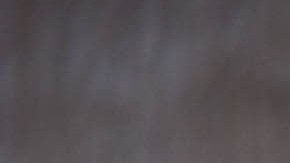 Cabracho en papillote