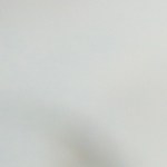 Cabracho en salsa de vino blanco