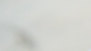 Cabracho en salsa de vino blanco