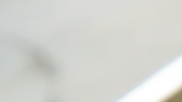 Cabracho en salsa de vino blanco