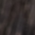 Cebollas rellenas de arroz salvaje y setas