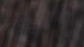 Cebollas rellenas de arroz salvaje y setas