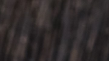 Cebollas rellenas de arroz salvaje y setas