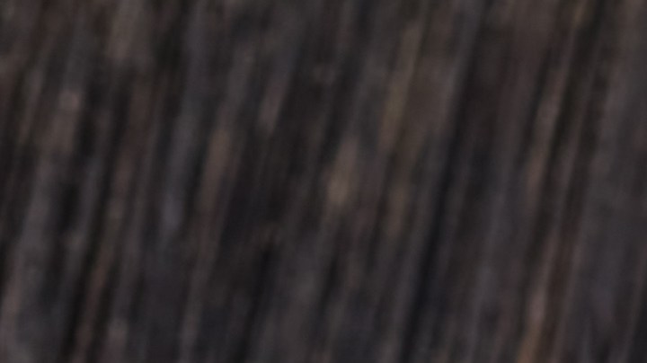 Cebollas rellenas de arroz salvaje y setas