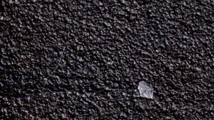 Cebollas rellenas de champiñones y queso