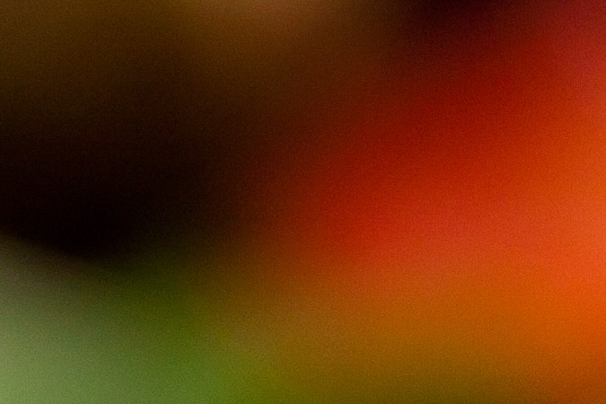 Cebollas rellenas de cuscús y frutos secos