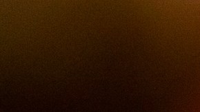 Cebollas rellenas de cuscus y frutos secos