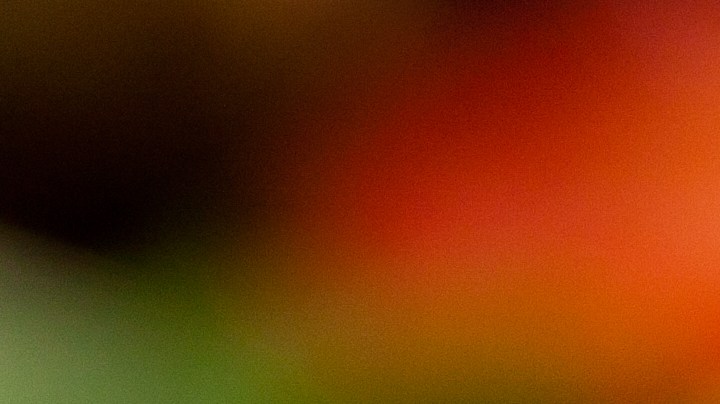 Cebollas rellenas de cuscus y frutos secos