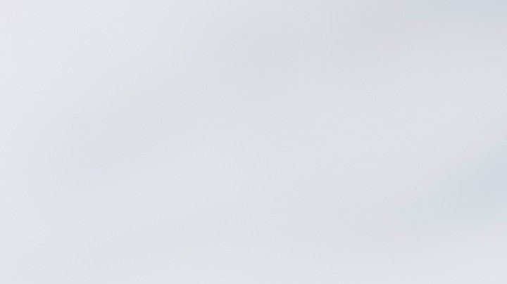 Cebollas rellenas de morcilla y manzana