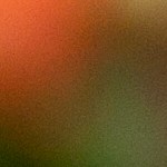 Cebollas rellenas de polenta y verduras