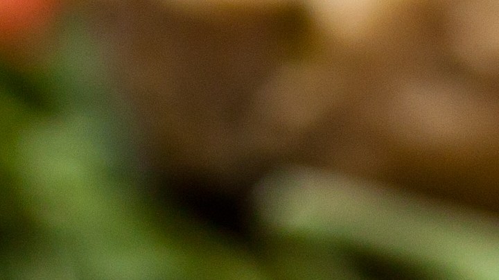 Cebollas rellenas de polenta y verduras