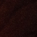 Halibut a la parrilla con salsa de mango