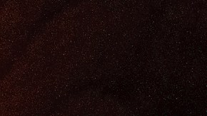 Halibut a la parrilla con salsa de mango