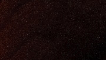 Halibut a la parrilla con salsa de mango