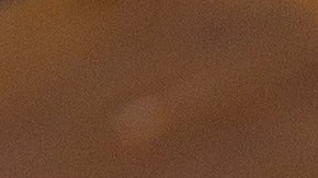 coronas de tacos de alambre