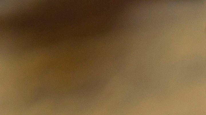 ensalada de coditos con jamón