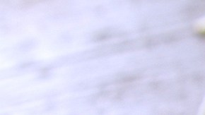 huevos estrellados con jamón serrano