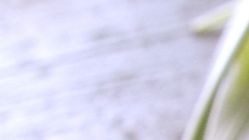 huevos estrellados con jamón serrano