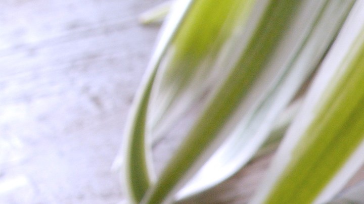 huevos estrellados con jamón serrano