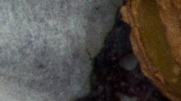 Robalo al horno con papas