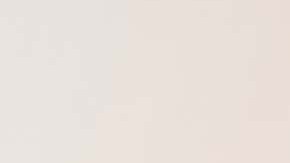 Robalo relleno de espinacas y gambas