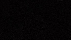 Robalo relleno de mariscos