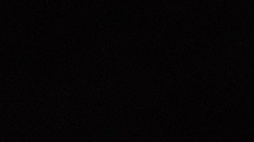 Robalo relleno de mariscos