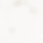 Robalo en papillote con verduras