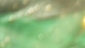 cupcakes de rosca de reyes