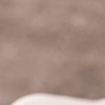 plato de arroz frito con verdura y huevo