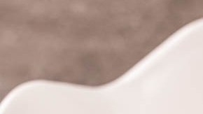 plato de arroz frito con verdura y huevo