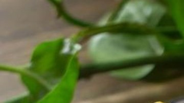 huevos a la mexicana