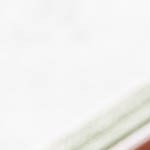 costillas de cerdo en salsa bbq asiatica