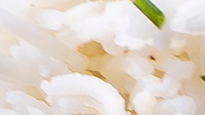 Halibut con mariscos