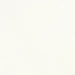 plato de lo mein con pollo sin vegetales