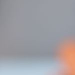 muffins de zanahoria y manzana