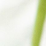 ensalada de pasta con pollo y espinacas