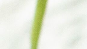 ensalada de pasta con pollo y espinacas