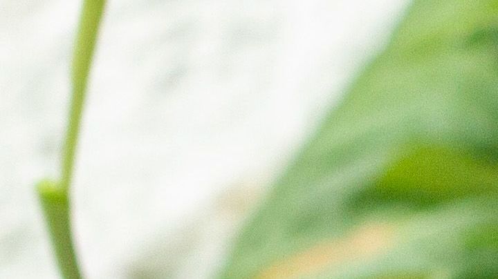 ensalada de pasta con pollo y espinacas