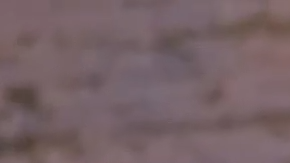 Ensalada de cangrejo con piña y manzana