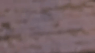 Ensalada de cangrejo con piña y manzana