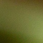 Cebollas rellenas de arroz y hierbas