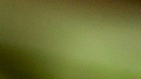 Cebollas rellenas de arroz y hierbas