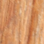 Cebollas rellenas de atún