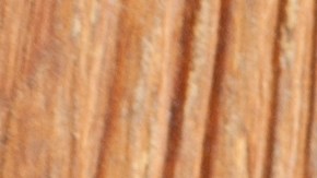 Cebollas rellenas de atún