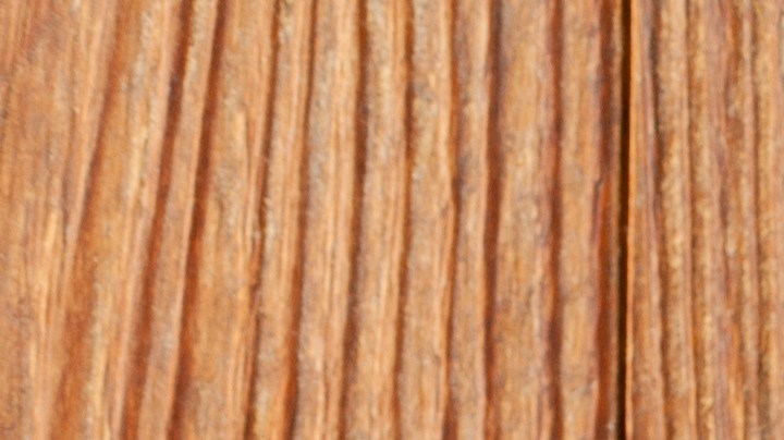 Cebollas rellenas de atún